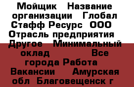 Мойщик › Название организации ­ Глобал Стафф Ресурс, ООО › Отрасль предприятия ­ Другое › Минимальный оклад ­ 30 000 - Все города Работа » Вакансии   . Амурская обл.,Благовещенск г.